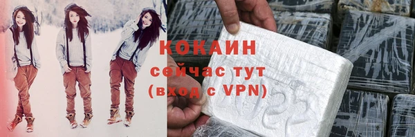 крисы Алексин