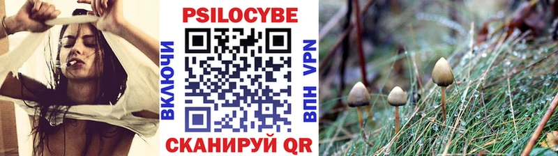 Галлюциногенные грибы MAGIC MUSHROOMS  цены наркотик  Губкин 